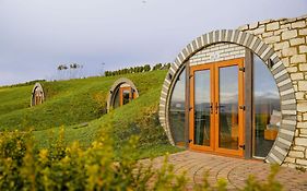Rabbits View